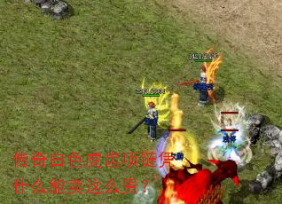传奇白色虎齿项链凭什么能卖这么贵? 传奇白色虎齿项链凭什么能卖这么贵?