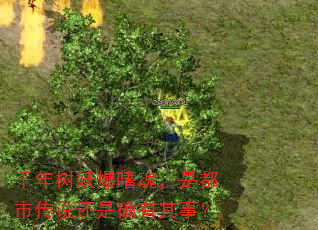 千年树妖爆嗜魂,是都市传说还是确有其事? 千年树妖爆嗜魂,是都市传说还是确有其事?