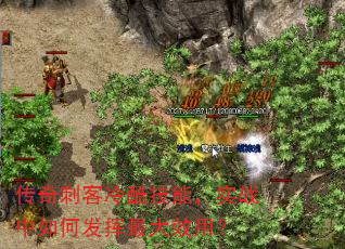 传奇刺客冷酷技能,实战中如何发挥最大效用? 传奇刺客冷酷技能,实战中如何发挥最大效用?
