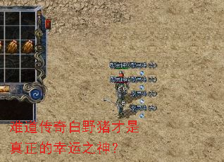 难道传奇白野猪才是真正的幸运之神? 难道传奇白野猪才是真正的幸运之神?