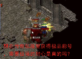 想在传奇私服里获得极品称号,需要极强的耐心是真的吗? 想在传奇私服里获得极品称号,需要极强的耐心是真的吗?