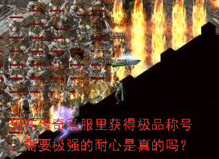 想在传奇私服里获得极品称号,需要极强的耐心是真的吗? 想在传奇私服里获得极品称号,需要极强的耐心是真的吗?