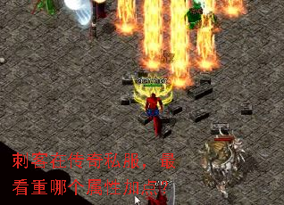 刺客在传奇私服,最看重哪个属性加点? 刺客在传奇私服,最看重哪个属性加点?