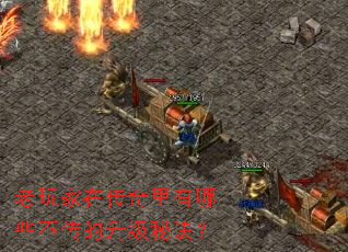老玩家在传奇里有哪些不传的升级秘诀? 老玩家在传奇里有哪些不传的升级秘诀?