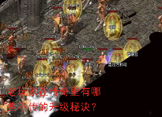老玩家在传奇里有哪些不传的升级秘诀? 老玩家在传奇里有哪些不传的升级秘诀?