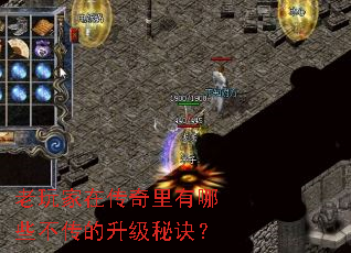 老玩家在传奇里有哪些不传的升级秘诀? 老玩家在传奇里有哪些不传的升级秘诀?