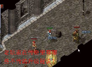 老玩家在传奇里有哪些不传的升级秘诀? 老玩家在传奇里有哪些不传的升级秘诀?