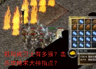 祖玛阁卫士有多强?击杀攻略求大神指点? 祖玛阁卫士有多强?击杀攻略求大神指点?