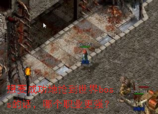 想要成功地抢到世界boss的话,哪个职业更强? 想要成功地抢到世界boss的话,哪个职业更强?
