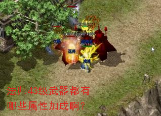 法师43级武器都有哪些属性加成啊? 法师43级武器都有哪些属性加成啊?