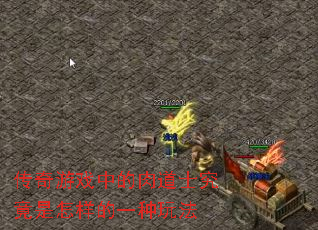 传奇游戏中的肉道士究竟是怎样的一种玩法 传奇游戏中的肉道士究竟是怎样的一种玩法