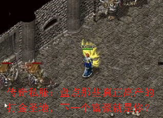 传奇私服:盘点那些真正高产的打金圣地,下一个富豪就是你? 传奇私服:盘点那些真正高产的打金圣地,下一个富豪就是你?