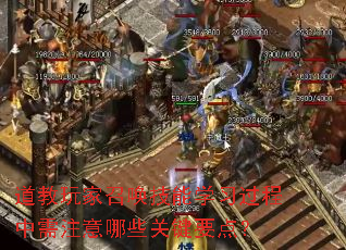 道教玩家召唤技能学习过程中需注意哪些关键要点? 道教玩家召唤技能学习过程中需注意哪些关键要点?