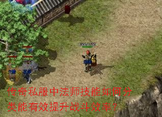 传奇私服中法师技能如何分类能有效提升战斗效率? 传奇私服中法师技能如何分类能有效提升战斗效率?