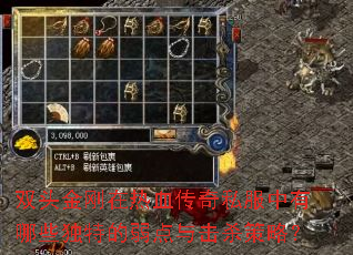 双头金刚在热血传奇私服中有哪些独特的弱点与击杀策略? 双头金刚在热血传奇私服中有哪些独特的弱点与击杀策略?