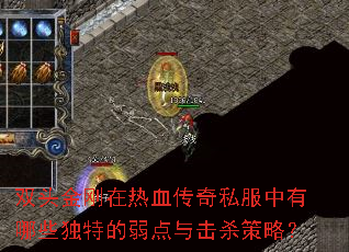 双头金刚在热血传奇私服中有哪些独特的弱点与击杀策略? 双头金刚在热血传奇私服中有哪些独特的弱点与击杀策略?