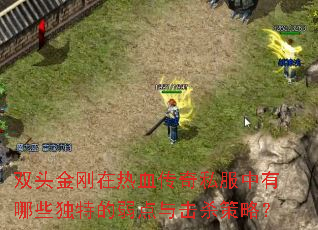 双头金刚在热血传奇私服中有哪些独特的弱点与击杀策略? 双头金刚在热血传奇私服中有哪些独特的弱点与击杀策略?
