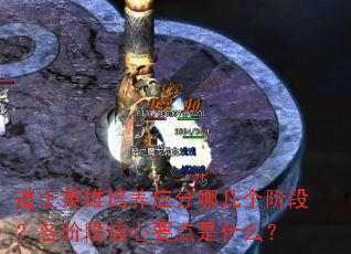 道士英雄培养应分哪几个阶段?各阶段核心要点是什么? 道士英雄培养应分哪几个阶段?各阶段核心要点是什么?