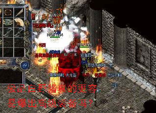 极品白野猪真的更容易爆出高级装备吗? 极品白野猪真的更容易爆出高级装备吗?