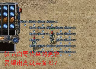 极品白野猪真的更容易爆出高级装备吗? 极品白野猪真的更容易爆出高级装备吗?