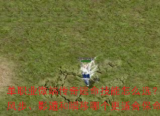 ��ְҵ΢�˴�������������ôѡ�����粽��Ӱ�ݺ�˲���ĸ����ʺϱ�����