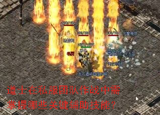 道士在私服团队作战中需掌握哪些关键辅助技能? 道士在私服团队作战中需掌握哪些关键辅助技能?