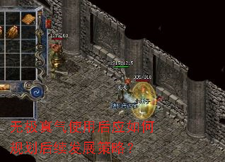 无极真气使用后应如何规划后续发展策略? 无极真气使用后应如何规划后续发展策略?
