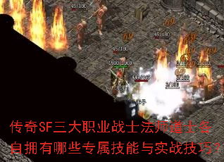 ����SF����ְҵսʿ��ʦ��ʿ����ӵ����Щר��������ʵս���ɣ�