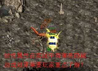����������ʵս������Щ���ؼӳ�Ч����Ҫ����ص��˽⣿
