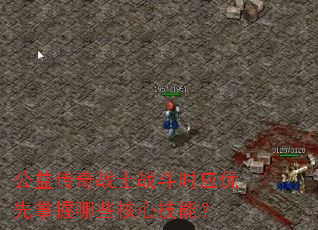 ���洫��սʿս��ʱӦ����������Щ���ļ��ܣ�