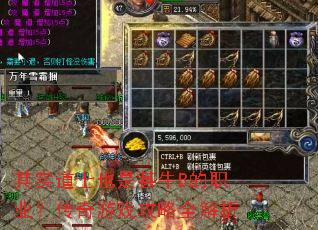 其实道士也是甚牛B的职业?传奇游戏攻略全解析 其实道士也是甚牛B的职业?传奇游戏攻略全解析