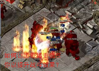 如何让黑野猪更信任你以提升战斗效果? 如何让黑野猪更信任你以提升战斗效果?