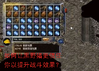 如何让黑野猪更信任你以提升战斗效果? 如何让黑野猪更信任你以提升战斗效果?
