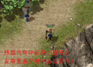 热血传奇SF新服中理想队友需要满足哪些必备条件? 热血传奇SF新服中理想队友需要满足哪些必备条件?