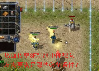 热血传奇SF新服中理想队友需要满足哪些必备条件? 热血传奇SF新服中理想队友需要满足哪些必备条件?
