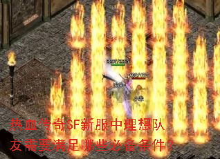 热血传奇SF新服中理想队友需要满足哪些必备条件? 热血传奇SF新服中理想队友需要满足哪些必备条件?