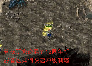 骨灰玩家必看?12周年新服首区如何快速冲级制霸 骨灰玩家必看?12周年新服首区如何快速冲级制霸