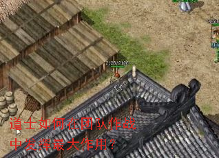 道士如何在团队作战中发挥最大作用? 道士如何在团队作战中发挥最大作用?