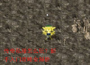 传奇私服怎么玩?新手入门攻略全解析 传奇私服怎么玩?新手入门攻略全解析