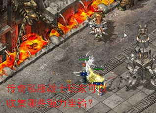传奇私服战士玩家可以收集哪些强力坐骑? 传奇私服战士玩家可以收集哪些强力坐骑?