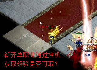 新开单职业通过挂机获取经验是否可取? 新开单职业通过挂机获取经验是否可取?