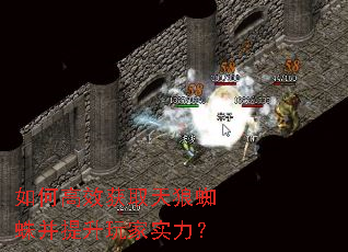 如何高效获取天狼蜘蛛并提升玩家实力? 如何高效获取天狼蜘蛛并提升玩家实力?