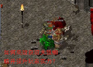 如何高效获取天狼蜘蛛并提升玩家实力? 如何高效获取天狼蜘蛛并提升玩家实力?