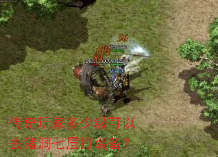 传奇玩家多少级可以去猪洞七层打装备? 传奇玩家多少级可以去猪洞七层打装备?