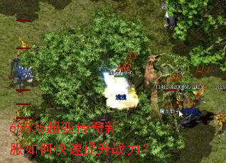 65535超变传奇新服如何快速提升战力? 65535超变传奇新服如何快速提升战力?