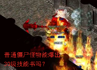 普通僵尸怪物能爆出30级技能书吗? 普通僵尸怪物能爆出30级技能书吗?