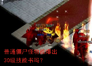 普通僵尸怪物能爆出30级技能书吗? 普通僵尸怪物能爆出30级技能书吗?