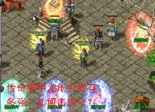 传奇披甲龙龟究竟有多强?如何击败它? 传奇披甲龙龟究竟有多强?如何击败它?