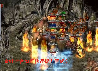 金针使者如何快速提升等级? 金针使者如何快速提升等级?
