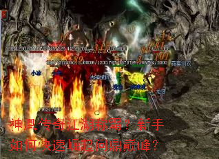 神凰传奇江湖称霸?新手如何快速崛起问鼎巅峰? 神凰传奇江湖称霸?新手如何快速崛起问鼎巅峰?